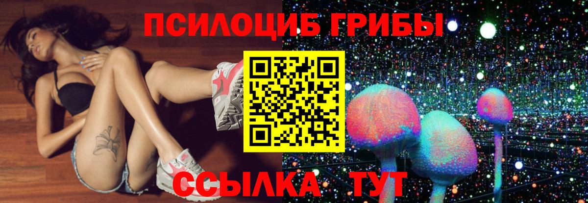 Псилоцибиновые грибы Psilocybe  Вход с VPN  Фролово  Псилоцибиновые грибы ЛСД 