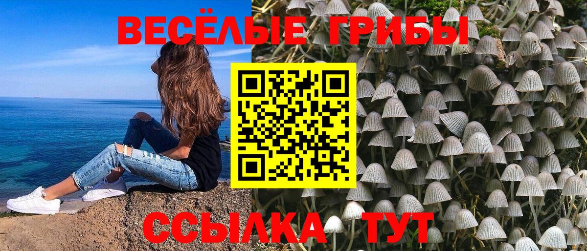 Псилоцибиновые грибы MAGIC MUSHROOMS Фролово