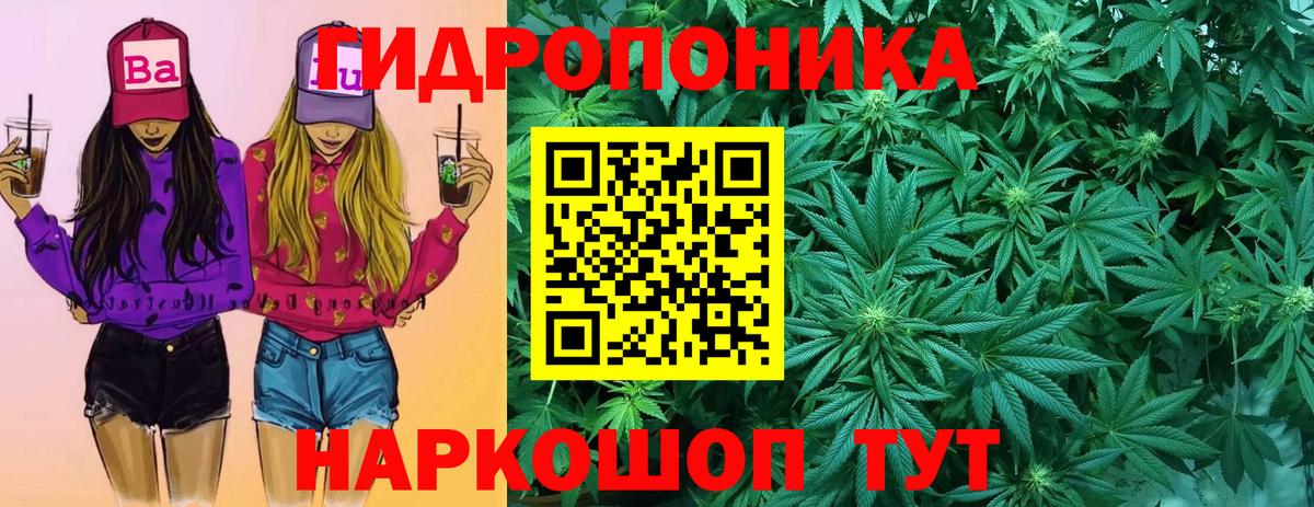 Бошки марихуана план Фролово